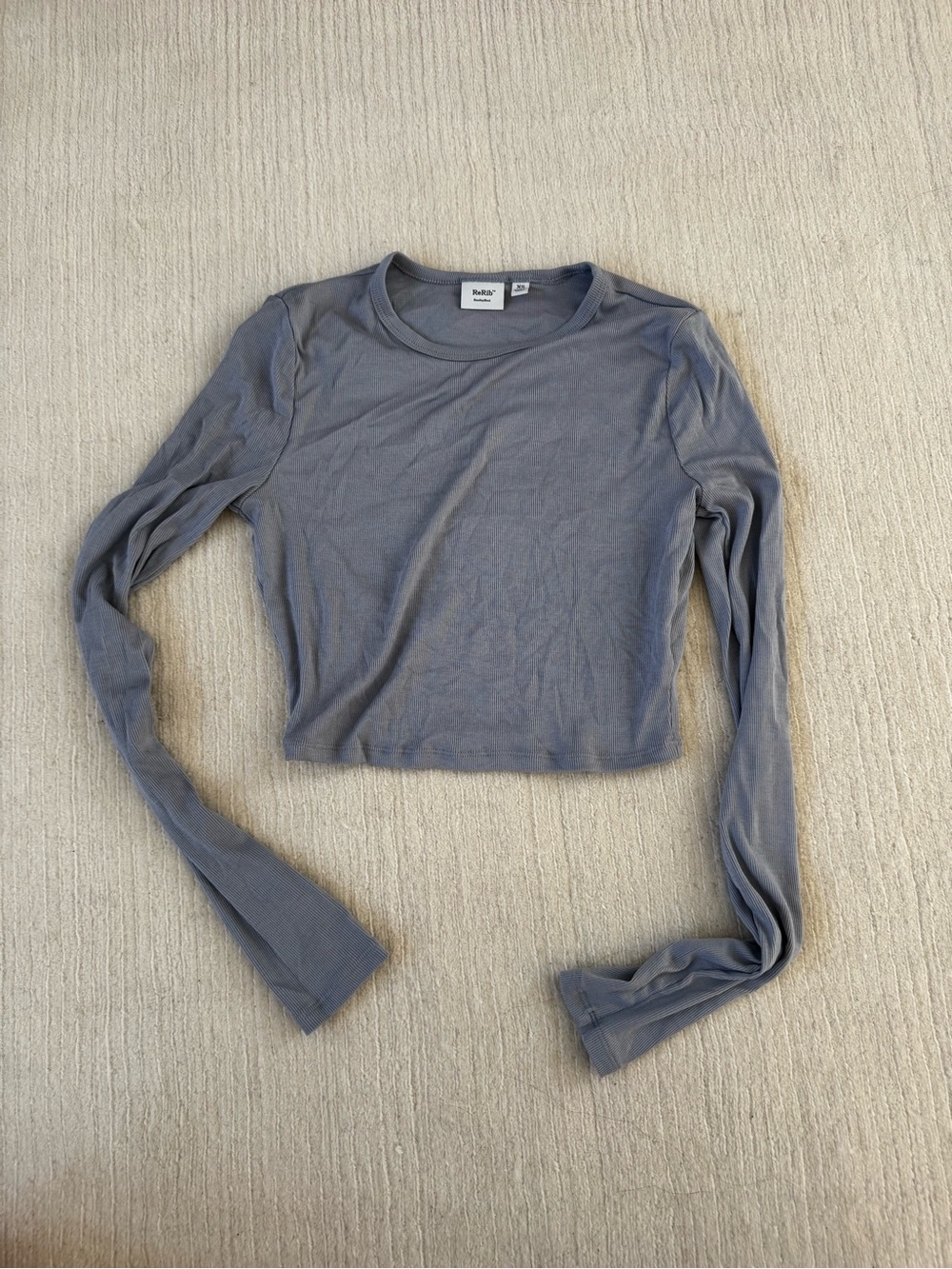 Aritzia Long Sleeve Crop Top in Dusty Blue